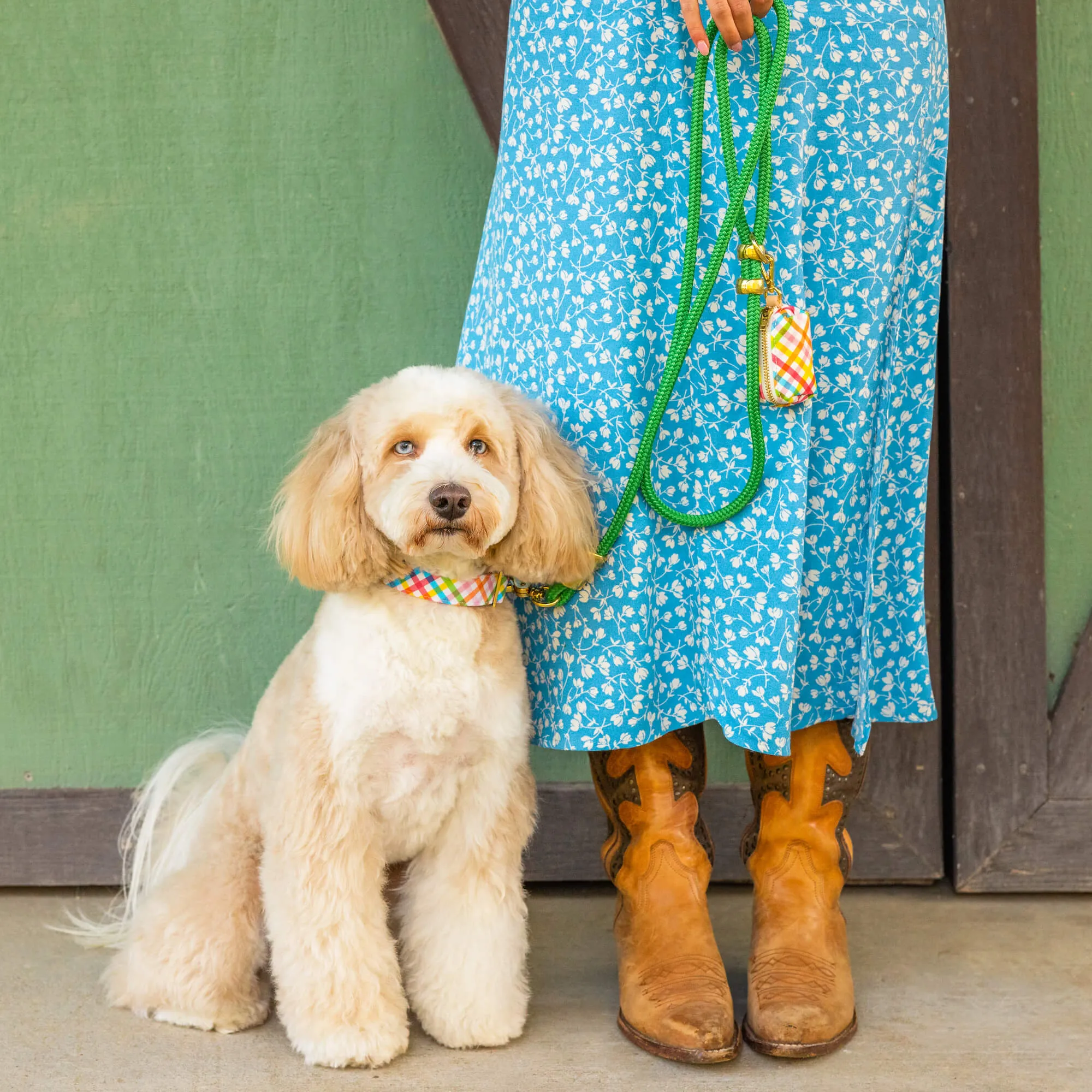 Grass Green Marine Rope Dog Leash